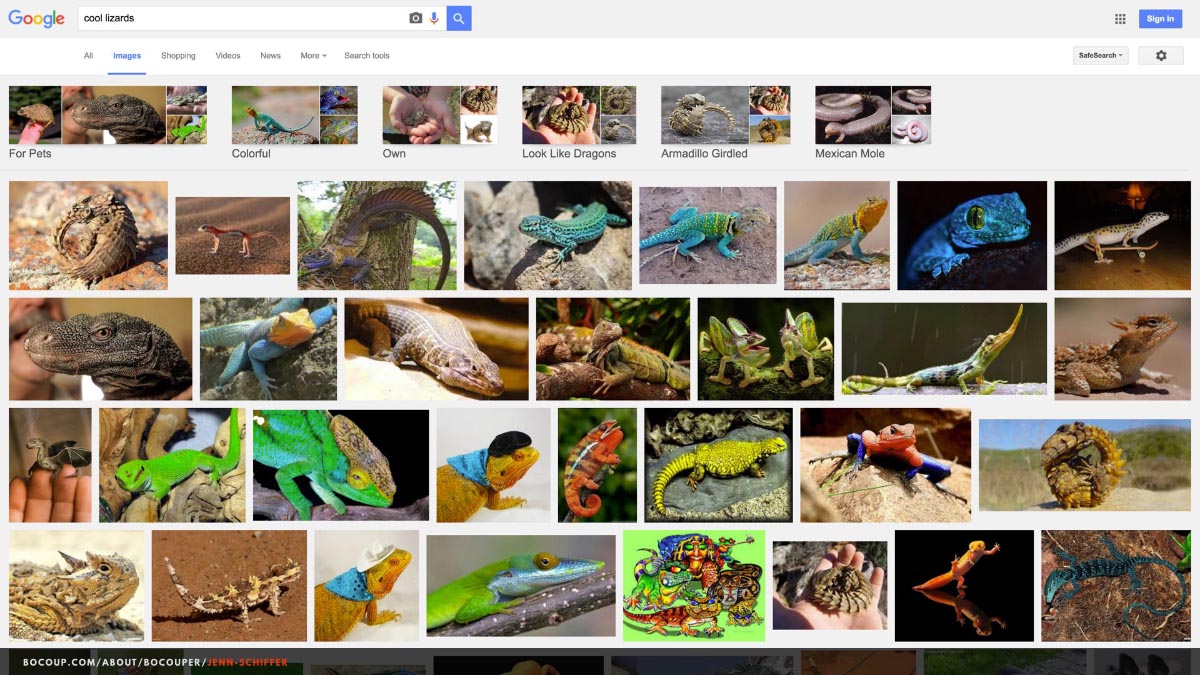 Screenshot of the Google Image search results page for “cool lizards.” Many lizards are pictured, all of them inarguably cool.
