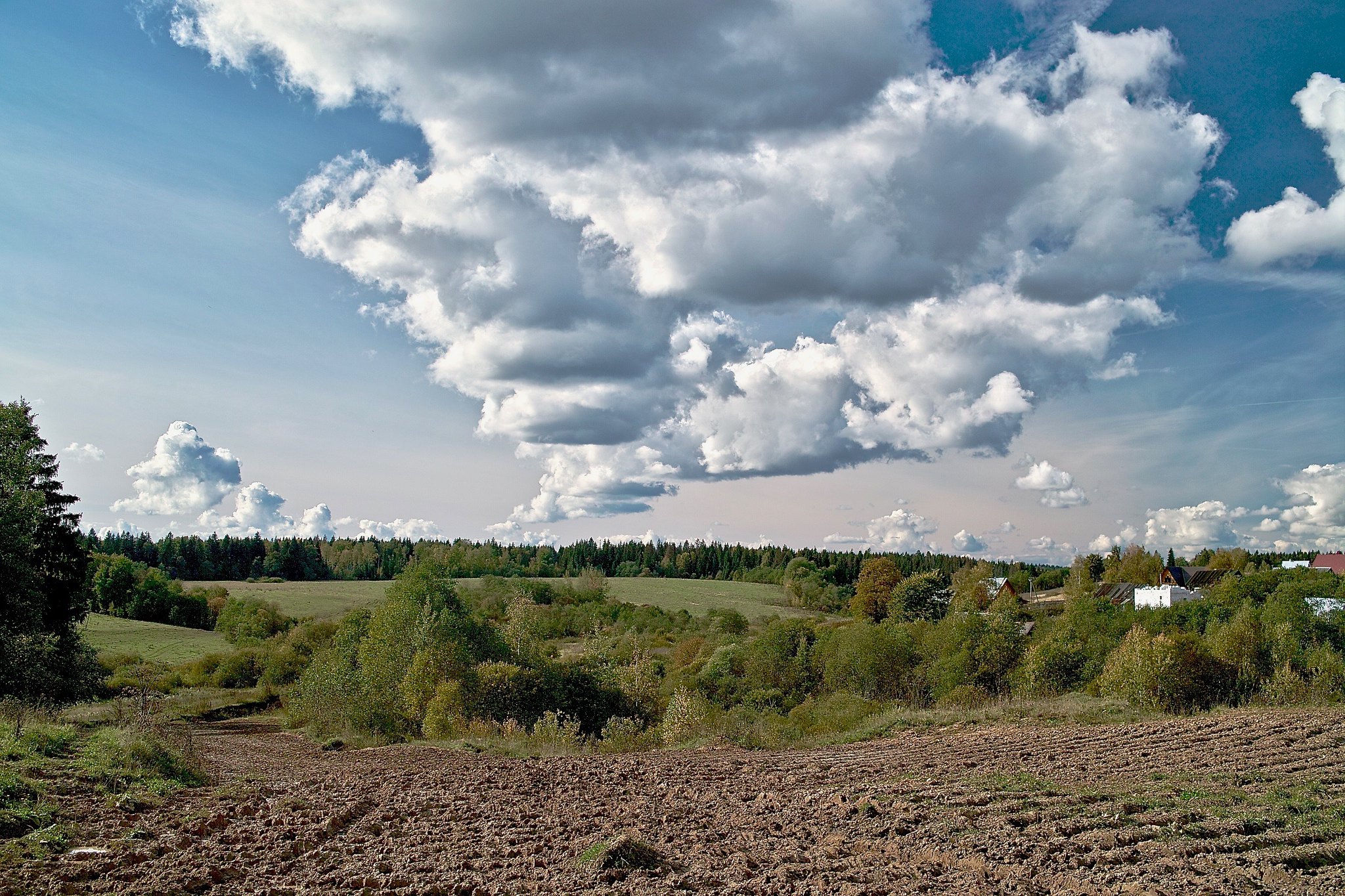 A rural landscape featuring a rough path seemingly created from footsteps of many animals